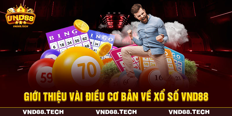 Giới thiệu vài điều cơ bản về xổ số VND88