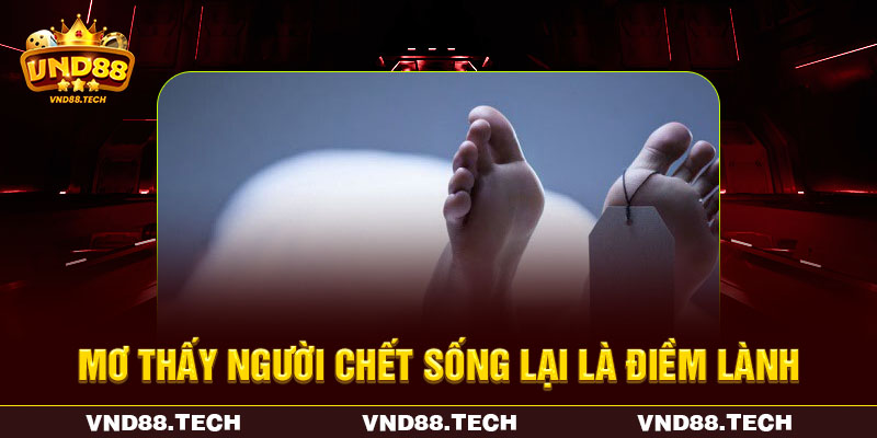 Mơ thấy người chết sống lại dự báo tốt đẹp