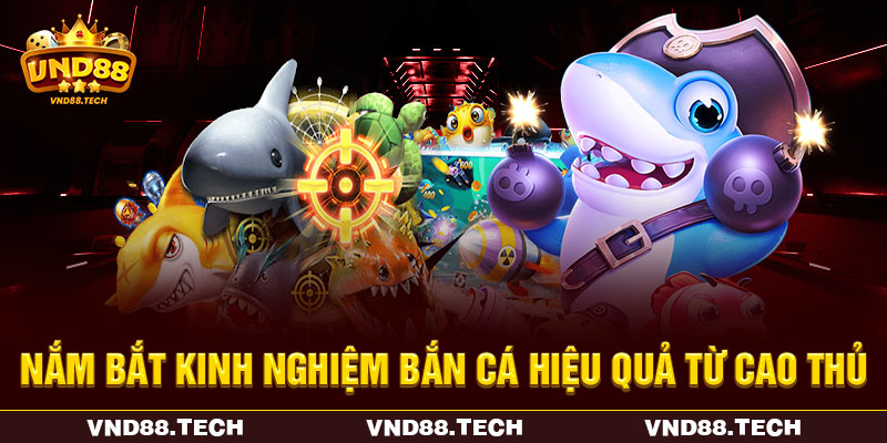 Nắm bắt kinh nghiệm bắn cá hiệu quả từ cao thủ