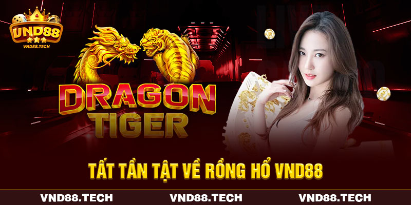 Tất tần tật về rồng hổ VND88
