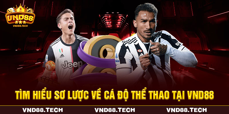 Tìm hiểu sơ lược về cá độ thể thao tại VND88