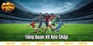 Tổng quan về kèo chấp