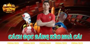 cách đọc bảng kèo nhà cái